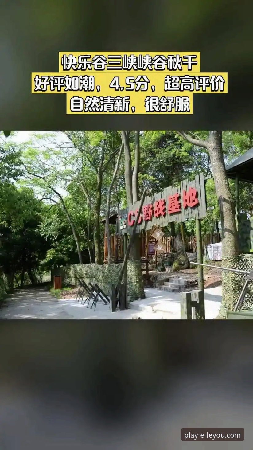 乐游体育直播平台手机版：从下载到精通完整指南